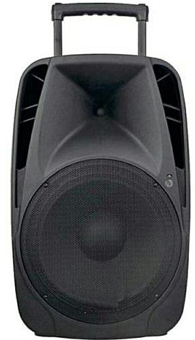 Rechargeable Public Address System With 2 Wireless Microphones For Rent